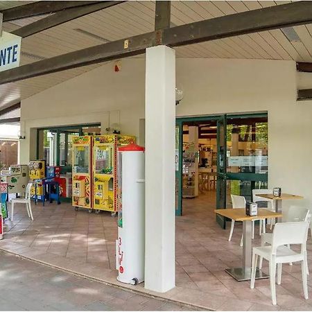 Vacanceselect Mobil Homes - Camping Pineta Sul Mare Camping Village 切塞纳蒂科 外观 照片